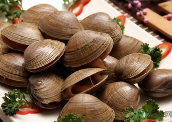 蜆子煮多長時間？蜆子怎么煮？