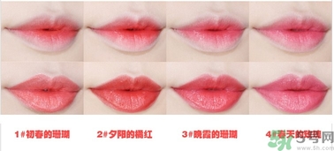 悅詩(shī)風(fēng)吟水韻凝采唇膏價(jià)格 悅詩(shī)風(fēng)吟水韻凝采唇膏怎么用？