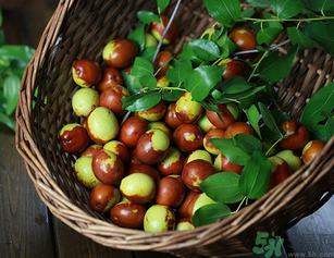 新鮮紅棗補(bǔ)血嗎？吃新鮮紅棗補(bǔ)血嗎？