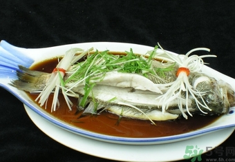 鱸魚是淡水魚還是海水魚？鱸魚是海魚嗎？