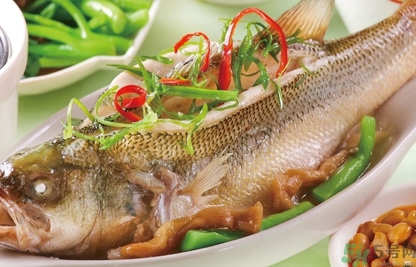 鱸魚是發(fā)物嗎？手術后可以吃鱸魚嗎？