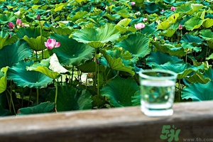 小蘇打能治癌癥嗎？蘇打水可以治癌癥嗎？