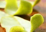 柚子皮能去冰箱異味嗎？為什么柚子皮能去除冰箱的異味？