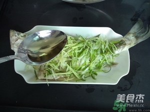 鱸魚蒸多長時(shí)間？鱸魚怎么蒸？