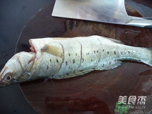鱸魚蒸多長時(shí)間？鱸魚怎么蒸？