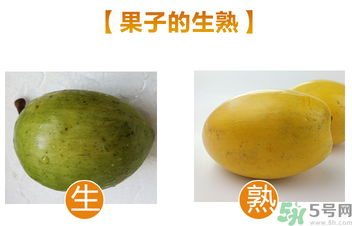 蛋黃果多少錢一斤？蛋黃果什么時(shí)候成熟？