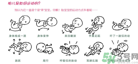 胎動(dòng)怎么數(shù)最正確？胎動(dòng)有什么規(guī)律？
