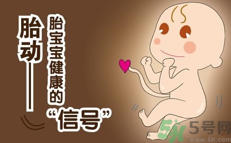 胎動(dòng)怎么數(shù)最正確？胎動(dòng)有什么規(guī)律？