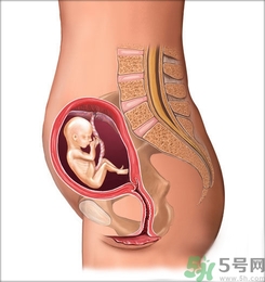 胎動(dòng)頻繁正常嗎?胎動(dòng)頻繁是什么原因？