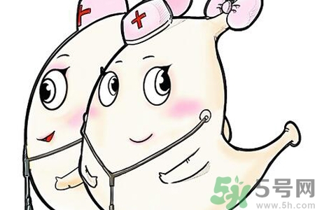 胃會(huì)餓小嗎？經(jīng)常肚子餓對(duì)胃有什么影響？