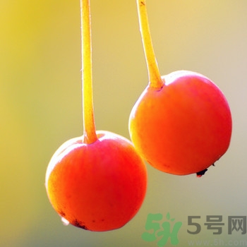 海棠果孕婦能吃嗎？海棠果的功效與作用