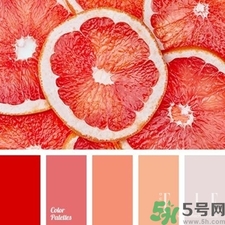 西柚色口紅的牌子哪款好？西柚色口紅有哪些牌子