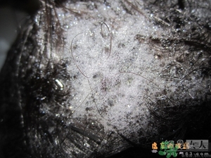 淳萃水舞櫻花洗發(fā)水好用嗎？淳萃水舞櫻花洗發(fā)水多少錢？
