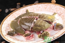 甲魚怎么殺？甲魚怎么處理？