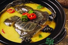 喝甲魚血能治陽痿嗎？甲魚血能喝嗎？