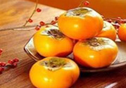 吃完柿子后能喝酸奶嗎？吃完柿子后多久可以喝酸奶？
