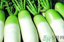 為什么冬吃蘿卜夏吃姜？冬天吃白蘿卜有什么好處？