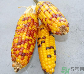 彩色玉米是轉(zhuǎn)基因嗎？彩色玉米能吃嗎？
