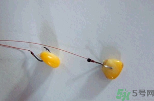 煮熟的玉米能釣魚(yú)嗎？煮熟的玉米能直接釣魚(yú)嗎？