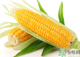 新鮮玉米怎么保存？鮮玉米怎么保存？