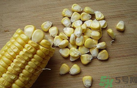 玉米?？梢葬炇裁呆~？玉米粒釣魚方法