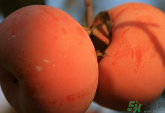 大柿子不能和什么同吃？大柿子和什么食物相克？