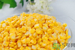 秋天釣魚用什么餌料？秋季釣魚用什么餌料好？