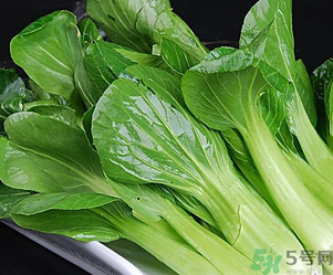 青菜可以放冰箱嗎？青菜能放冰箱保鮮嗎？