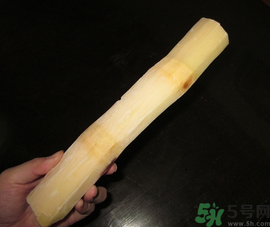 甘蔗可以放冰箱嗎？甘蔗放冰箱能保存多久？