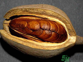 向天果多少錢(qián)一斤？向天果價(jià)格