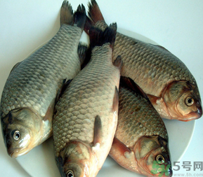 秋天釣鯽魚用什么餌料？秋天釣鯽魚用什么味餌？