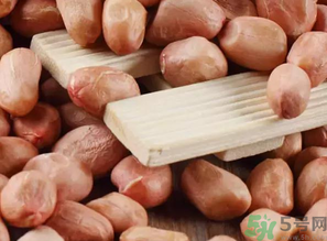 生花生吃多了會(huì)怎么樣？生花生吃多了會(huì)長(zhǎng)胖嗎？