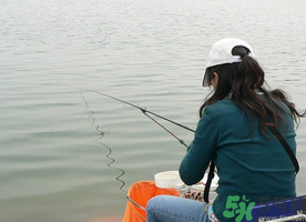 秋天釣鯉魚用什么味型？秋季釣鯉魚餌料味型