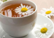 寒露喝什么茶好？寒露喝什么茶最養(yǎng)生？