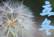 立冬可以釣魚嗎？立冬釣魚注意事項(xiàng)