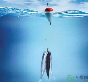 秋天釣魚深水還是淺水？秋天釣魚釣深水還是淺水？