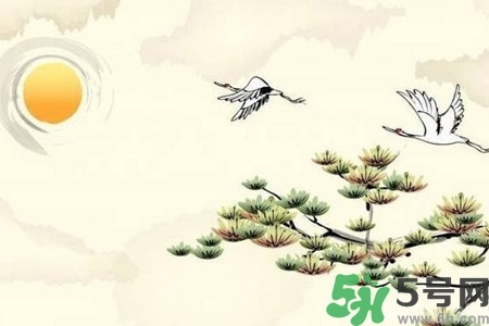 重陽節(jié)吃什么好？重陽節(jié)吃什么食物？