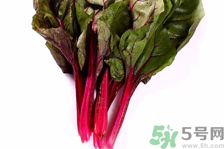 甜菜是蘿卜嗎？甜菜和蘿卜的區(qū)別