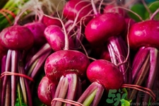吃甜菜有什么好處？吃甜菜對身體好嗎？