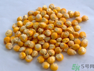 玉米用什么泡釣魚好？玉米怎么泡好釣魚？