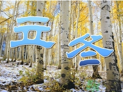 立冬可以栽樹嗎？立冬栽樹樹會死嗎？