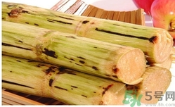 甘蔗過夜了能吃嗎？隔夜的甘蔗可以吃嗎？
