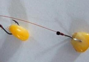 玉米粒怎么釣魚(yú)？怎么用玉米粒釣魚(yú)？