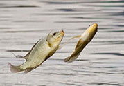 十月份怎么釣魚？十月份釣魚好釣嗎？