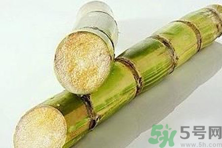血糖高的人能吃甘蔗嗎？血糖偏高可以吃甘蔗嗎？