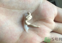 植美村7小時(shí)不脫妝bb霜多少錢(qián)?專(zhuān)柜價(jià)格