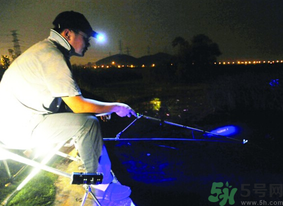 秋天可以夜釣嗎？秋天夜釣技巧