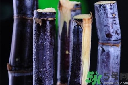 甘蔗一天吃多少最好？甘蔗能每天都吃嗎？