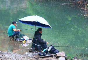 釣的魚怎么保存？釣的魚吃不完怎么保存？