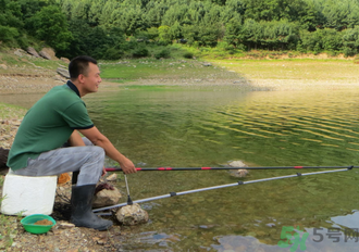 釣的魚怎么保存？釣的魚吃不完怎么保存？